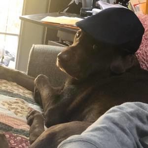 Meet your Posher, Keith